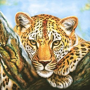 Leopard Look Napkin Set 33 x 33 cm