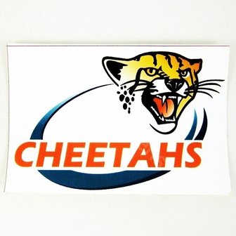 Cheetah Sticker 11.5 x 7.0 cm