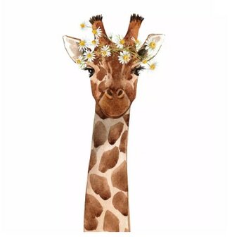 Mr Africa Napkin Set 33 x 33 cm