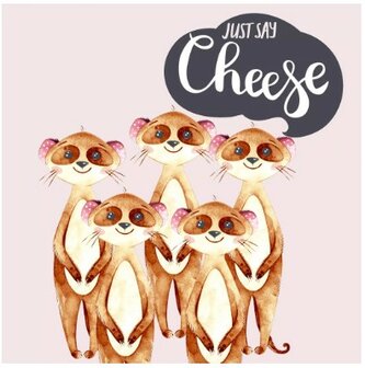 Say Cheese Napkin Set 33 x 33 cm