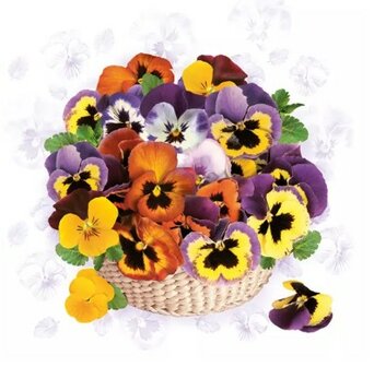 Colourful Pansies Napkin Set 33 x 33 cm