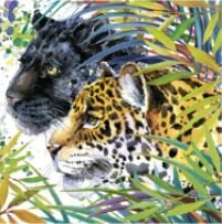Wild Cats Fantassy