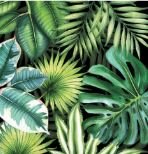 Tropical Leaves Black