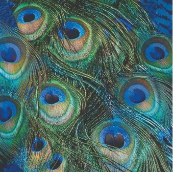 Peacock Feathers Napkin Set 33 x 33 cm