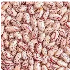 Koo Red Speckled Beans