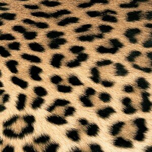 Leopard Couture Napkin Set 33 x 33 cm